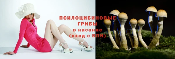спиды Магадан