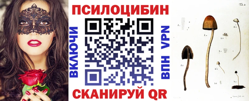 blacksprut ССЫЛКА купить наркотик Нефтекумск Псилоцибиновые грибы Cubensis
