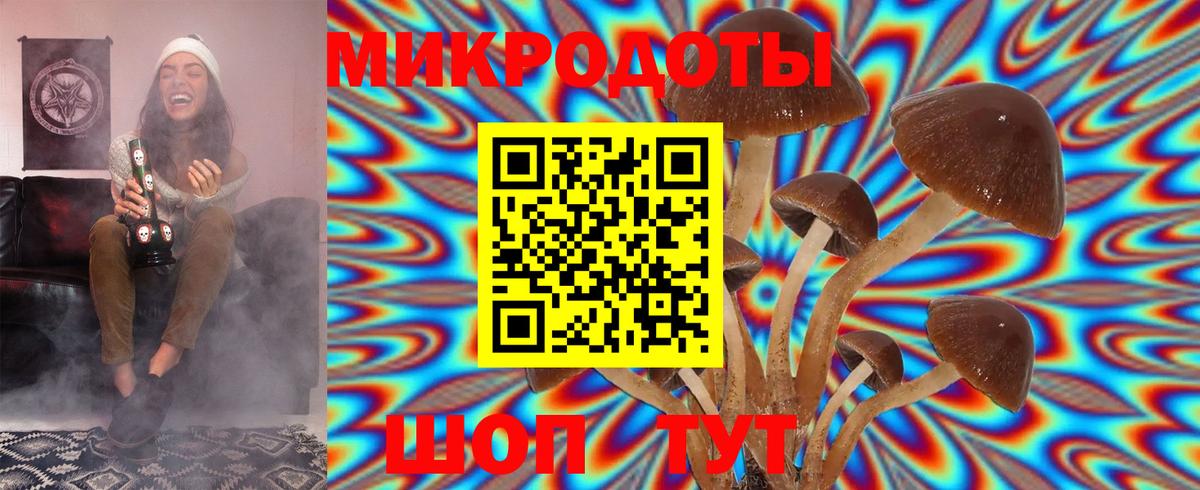 где продают наркотики  Нефтекумск  Галлюциногенные грибы мицелий 