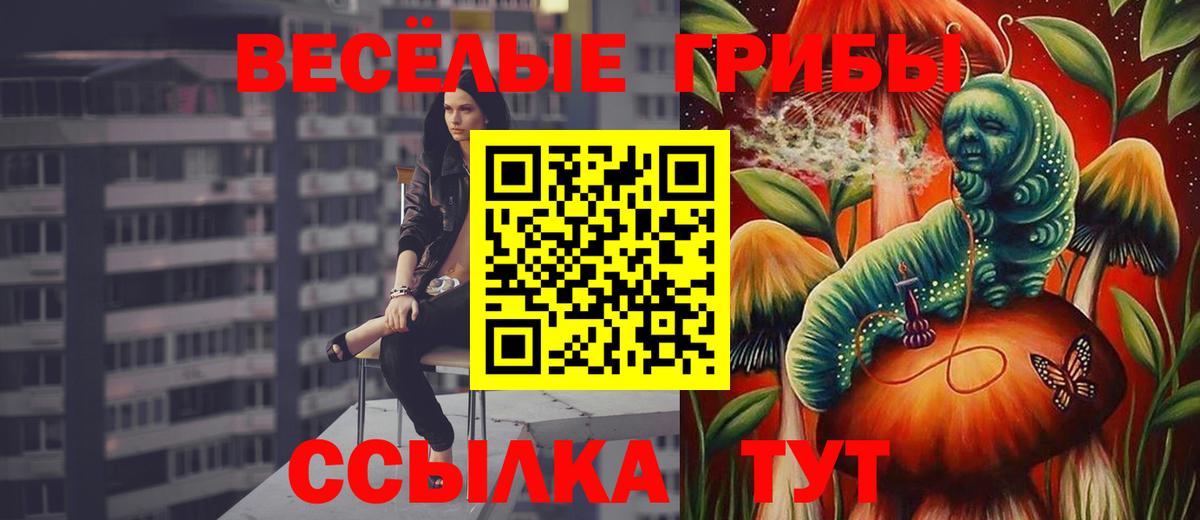 Нефтекумск  Галлюциногенные грибы ЛСД  Галлюциногенные грибы Psilocybe  Вход с VPN 