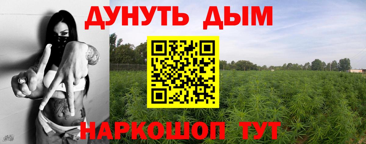 Канабис конопля  Шишки марихуана план  МАРИХУАНА марихуана  Нефтекумск 